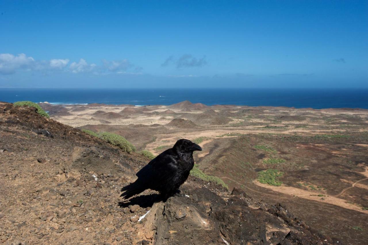 Apartmán Molino De El Roque Cotillo Exteriér fotografie