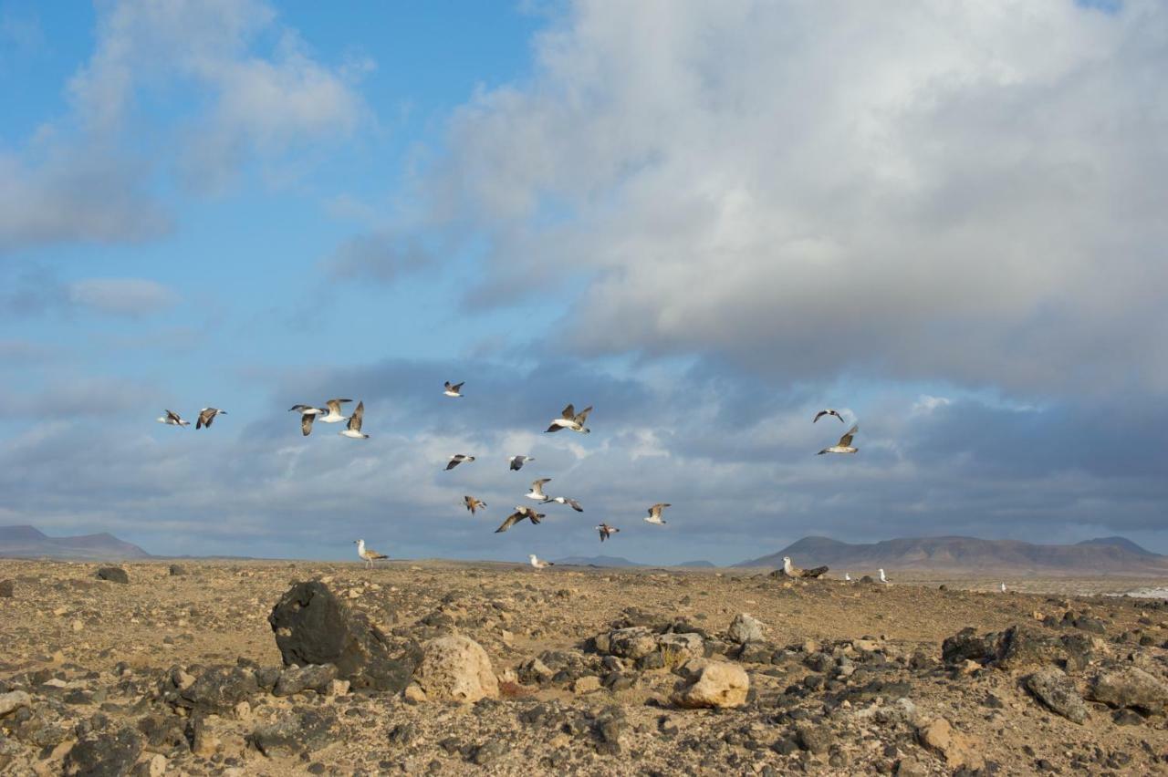 Apartmán Molino De El Roque Cotillo Exteriér fotografie